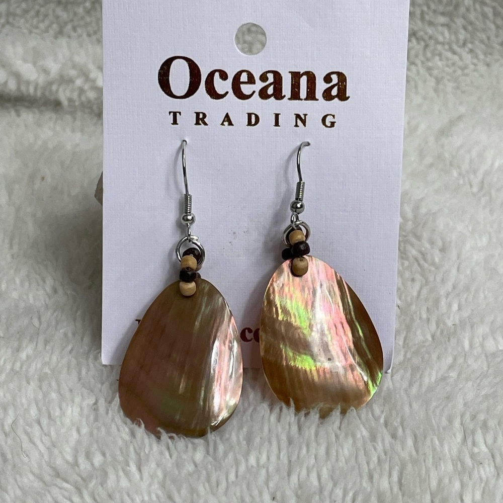 Abalone earrings